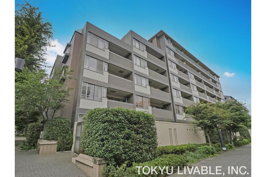 3LDK Apartment